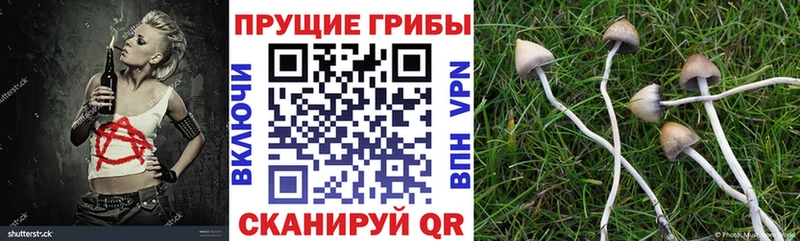 ссылка на мегу ССЫЛКА  Орлов  Галлюциногенные грибы мицелий 